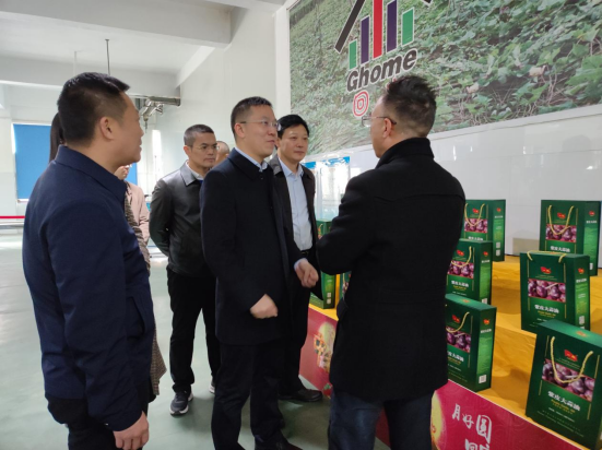 市委常委、組織部部長(zhǎng)、統(tǒng)戰(zhàn)部部長(zhǎng)龔紅果蒞臨天香生物調(diào)研