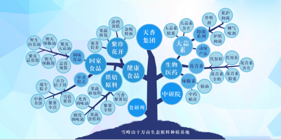 市委常委、組織部部長(zhǎng)、統(tǒng)戰(zhàn)部部長(zhǎng)龔紅果蒞臨天香生物調(diào)研
