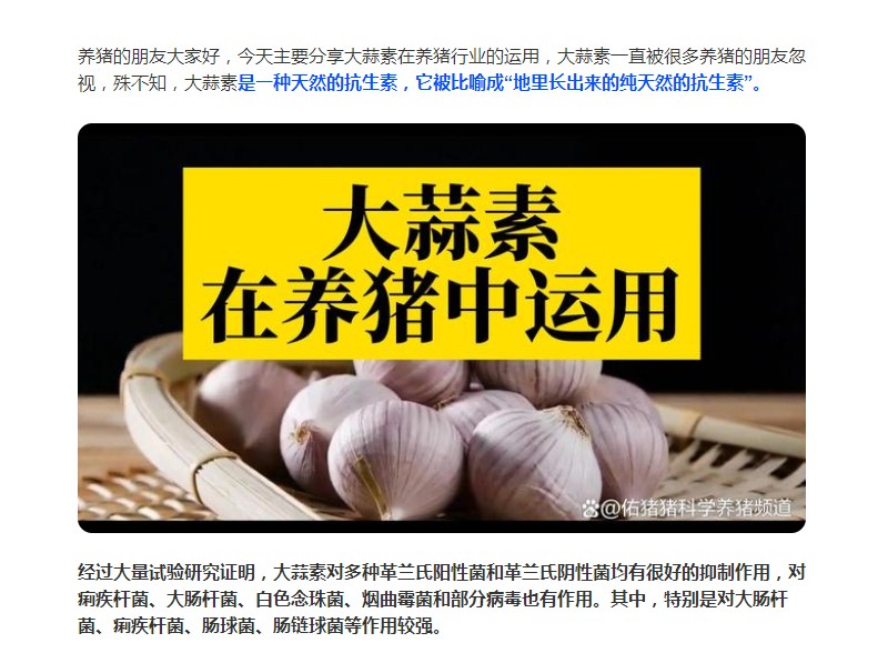 大蒜素在養(yǎng)豬行業(yè)的運(yùn)用，您了解多少？