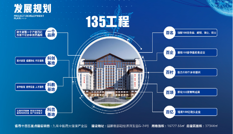 種下梧桐樹，引得鳳凰來